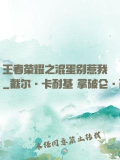 王者荣耀之混蛋别惹我
